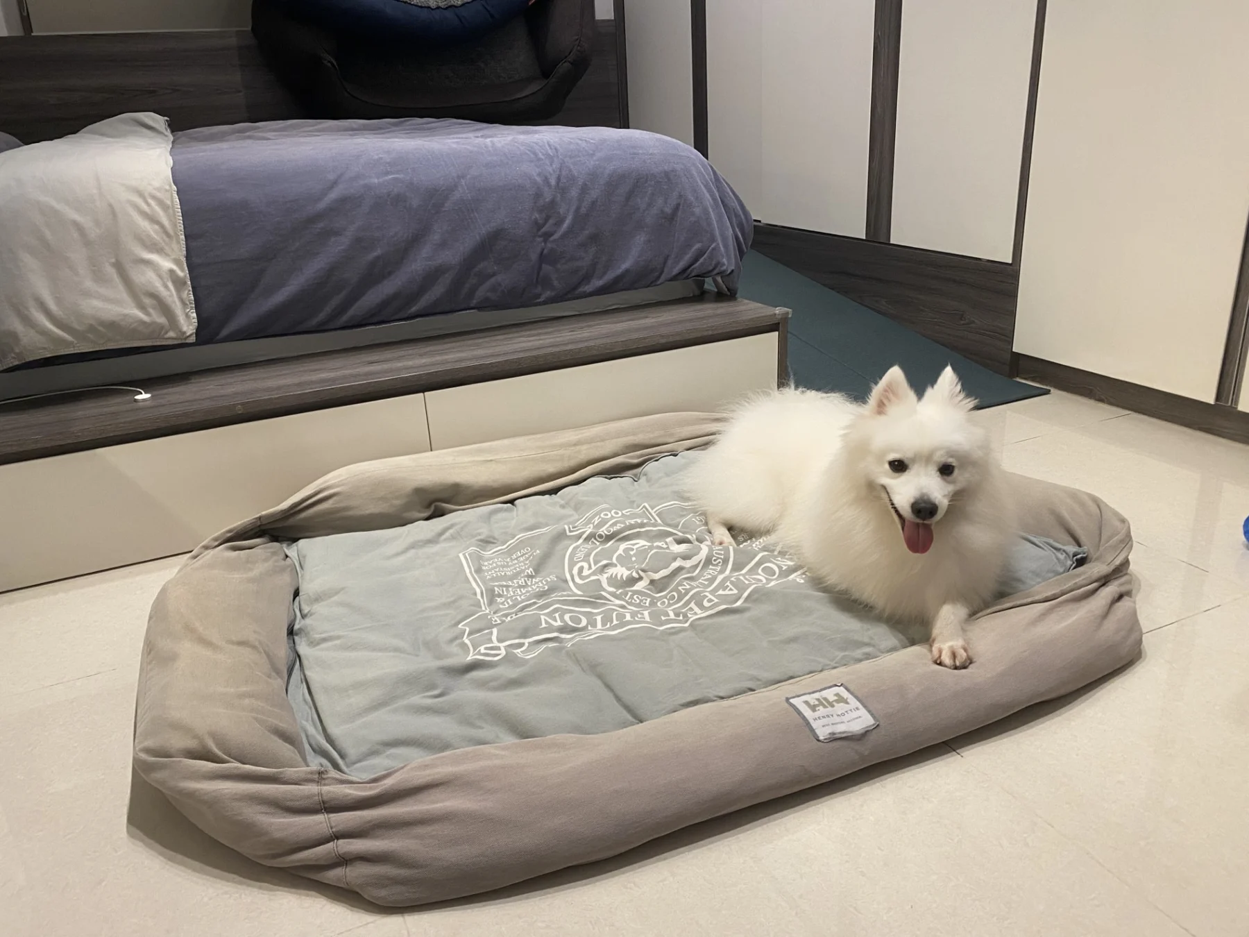 A guest resting during the day